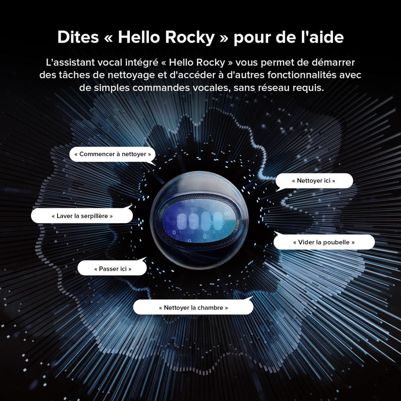 Roborock Saros 10R RDS Robot Aspirateur 22000Pa avec Station Multifonction